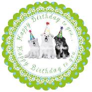 Postkarte Happy Birthday, Hunde